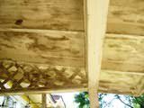 Mildew growth on walls because of moisture