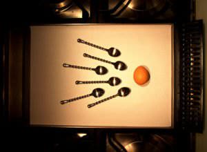 The sperm and the egg race&nbsp;! (a metaphor)