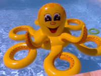 A plastic Octopus in a swimming pool.