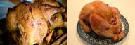 Chicken vs Turkey (bird)