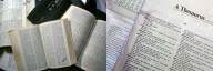Dictionary vs Thesaurus