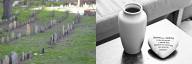 Burial vs Cremation