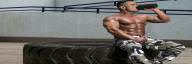 Muscle Milk vs Whey Protein