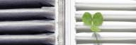 Air Purifier vs Dehumidifier