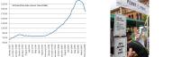 Bubble vs Ponzi Scheme