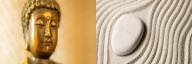 Buddhism vs Zen