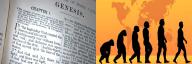 Creationism vs Evolution