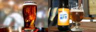 Beer vs Lager