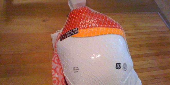 Frozen Turkey