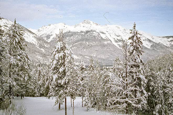 Montagnard