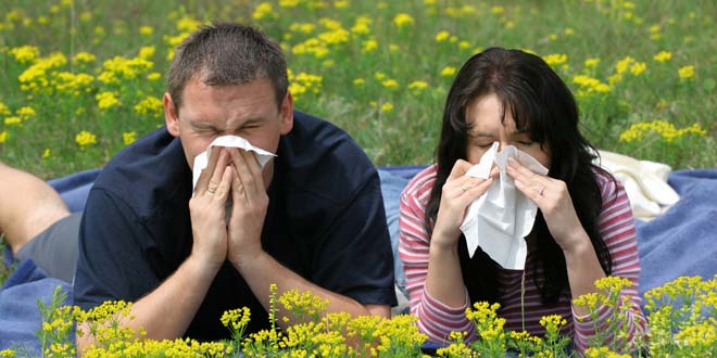 Common Cold