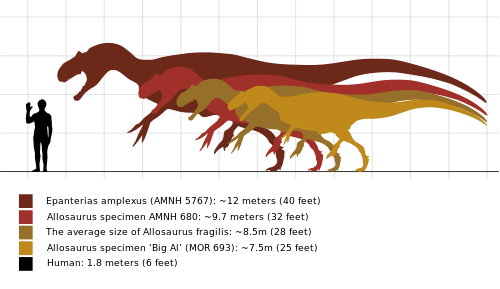 Allosaurus Vs Tyrannosaurus Difference And Comparison Diffen
