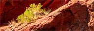 Erosion vs Weathering