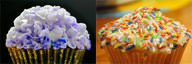 Frosting vs Icing