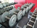 Free Weights