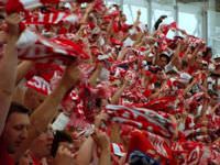 Happy, cheerful crowd at a game