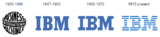 IBM As An ERP Services Provider