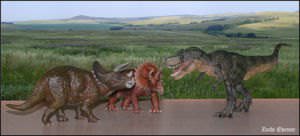 An illustration imagining a battle between two Triceratops against a Tyrannosaurus